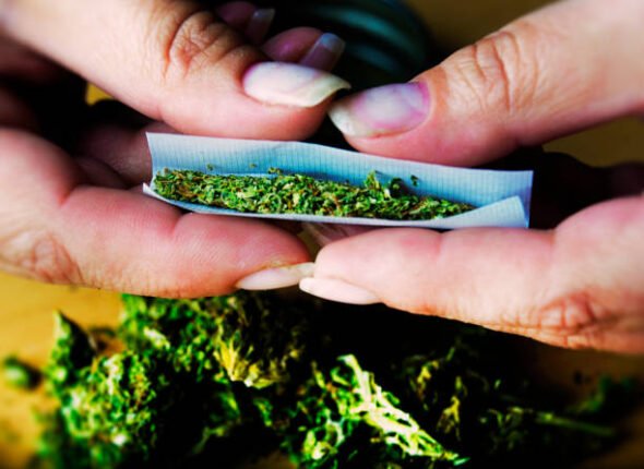 A marijuana joint being rolled by hand